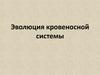 Эволюция кровеносной системы