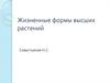 Жизненные формы высших растений