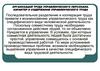 Организация труда управленческого персонала. Характер и содержание управленческого труда