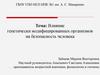 Влияние генетически модифицированных организмов на безопасность человека