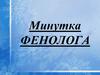 Минутка фенолога. Наблюдение за погодой