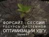 Форсайт - сессия. Ресурсы системной оптимизации УдГУ