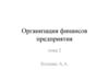 Организация финансов предприятия