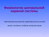 Физиология центральной нервной системы. Краткая функциональная характеристика спинного мозга и основных отделов головного мозга