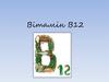 Вітамін В12