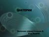 Бактерии. Польза от бактерий