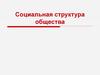 Социальная структура общества