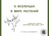 Вселенцы в мире растений