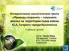 Интерактивная экологическая тропа «Природу сохранить – сохранить жизнь» на территории парка имени Гагарина города Калачинска