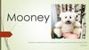 Mooney