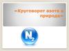 Круговорот азота в природе
