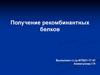 Получение рекомбинантных белков