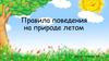 Правила поведения на природе летом
