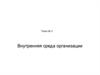 Внутренняя среда организации. (Тема 3)