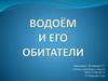 Водоём и его обитатели