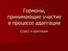 Гормоны, принимающие участие в процессе адаптации. Стресс и адаптация