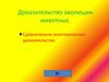 Доказательство эволюции животных. Сравнительно-анатомические доказательства