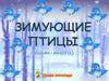 Зимующие птицы (один-много). Уроки логопеда