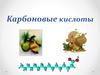 Карбоновые кислоты