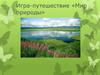 Игра-путешествие «Мир природы»