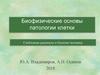 Свободные радикалы и болезни человека