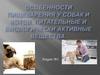 Особенности пищеварения у собак и котов. Питательные и биологически активные вещества