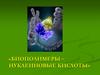 Нуклеиновые кислоты