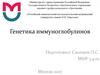 Генетика иммуноглобулинов