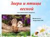 Звери и птицы весной (для дошкольного возраста)