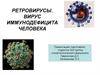Ретровирусы. Вирус иммунодефицита человека
