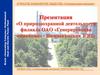 О природоохранной деятельности филиала ОАО «Генерирующая компания» - Нижнекамская ТЭЦ