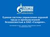 Единая система управления охраной труда и промышленной безопасностью в ОАО «Газпром»