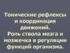 Тонические рефлексы и координация движений. Роль ствола мозга и мозжечка в регуляции функций организма