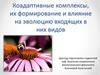 Коадаптивные комплексы, их формирование и влияние на эволюцию входящих в них видов