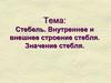 Стебель. Внутреннее и внешнее строение стебля. Значение стебля