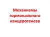 Механизмы гормонального канцерогенеза