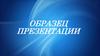 Образец презентации