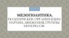 Мезополитика. Политические организации: партии, движения, группы интересов