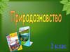 Як змінюється восени життя птахів. Перелітні та осілі птахи