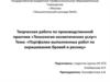 Творческая работа по производственной практике. Тема: "Портфолио выполненных работ по окрашиванию бровей и ресниц"