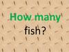 How many fishes
