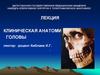 Клиническая анатомия головы. Хирургическая анатомия мозгового отдела головы