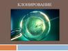 Клонирование. Молекулярное клонирование