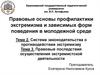 Система законодательства о противодействии экстремизму. Правовые последствия осуществления экстремистской деятельности