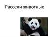 Рассели животных