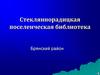 Стекляннорадицкая поселенческая библиотека