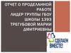 Отчет о проделанной работе. Лидер группы ГБОУ школы 1393