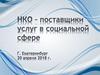 О приоритетных направлениях поддержки СО НКО в Российской Федерации