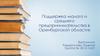 Поддержка малого и среднего предпринимательства в Оренбургской области