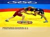 Freestyle wrestling